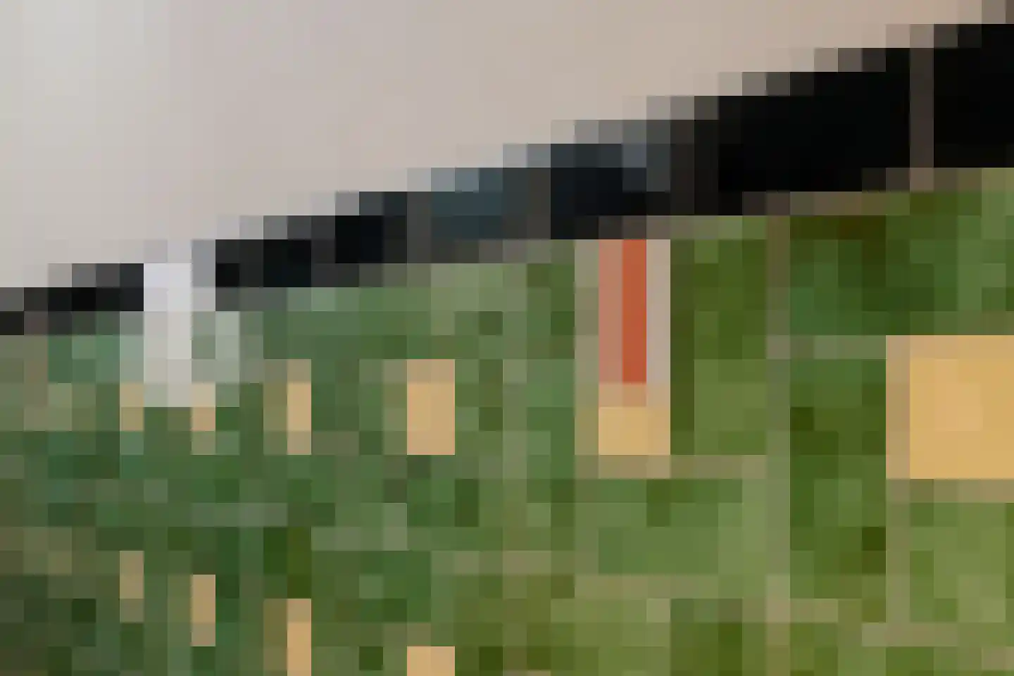 Generaal De la Reijstraat 95 Haarlem thumbnail 8