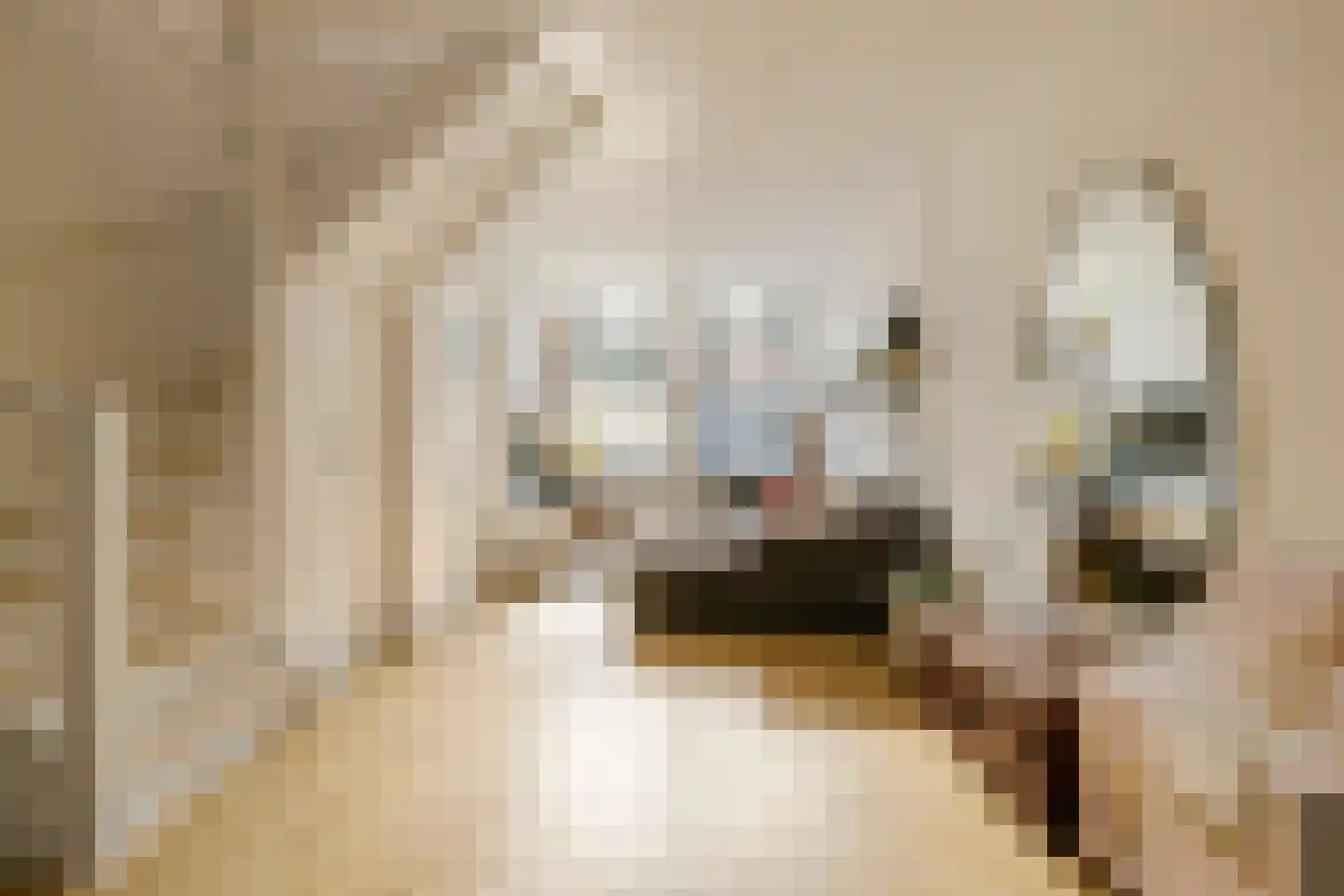 Generaal De la Reijstraat 95 Haarlem thumbnail 9