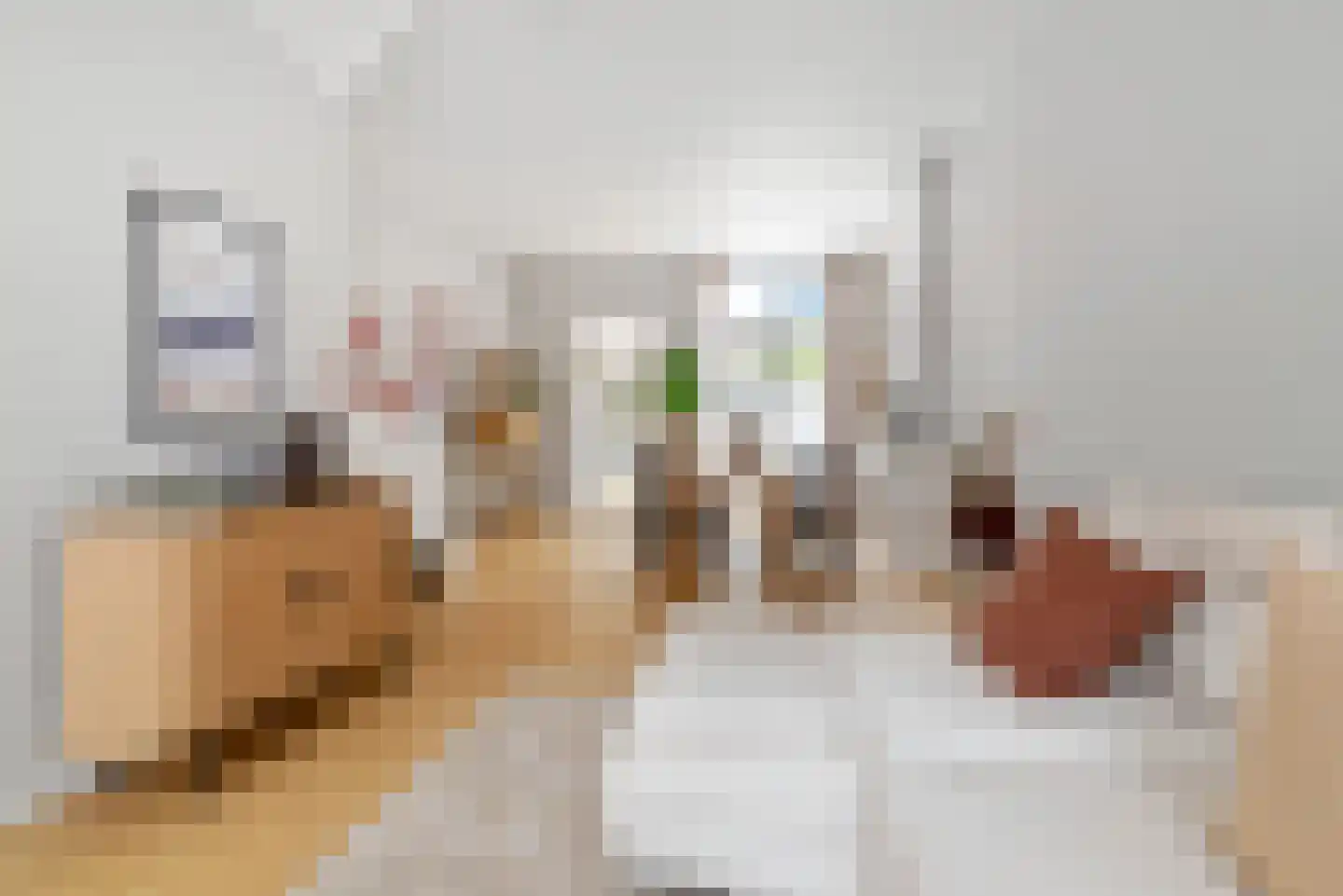 Generaal De Wetstraat 19 Haarlem thumbnail 9