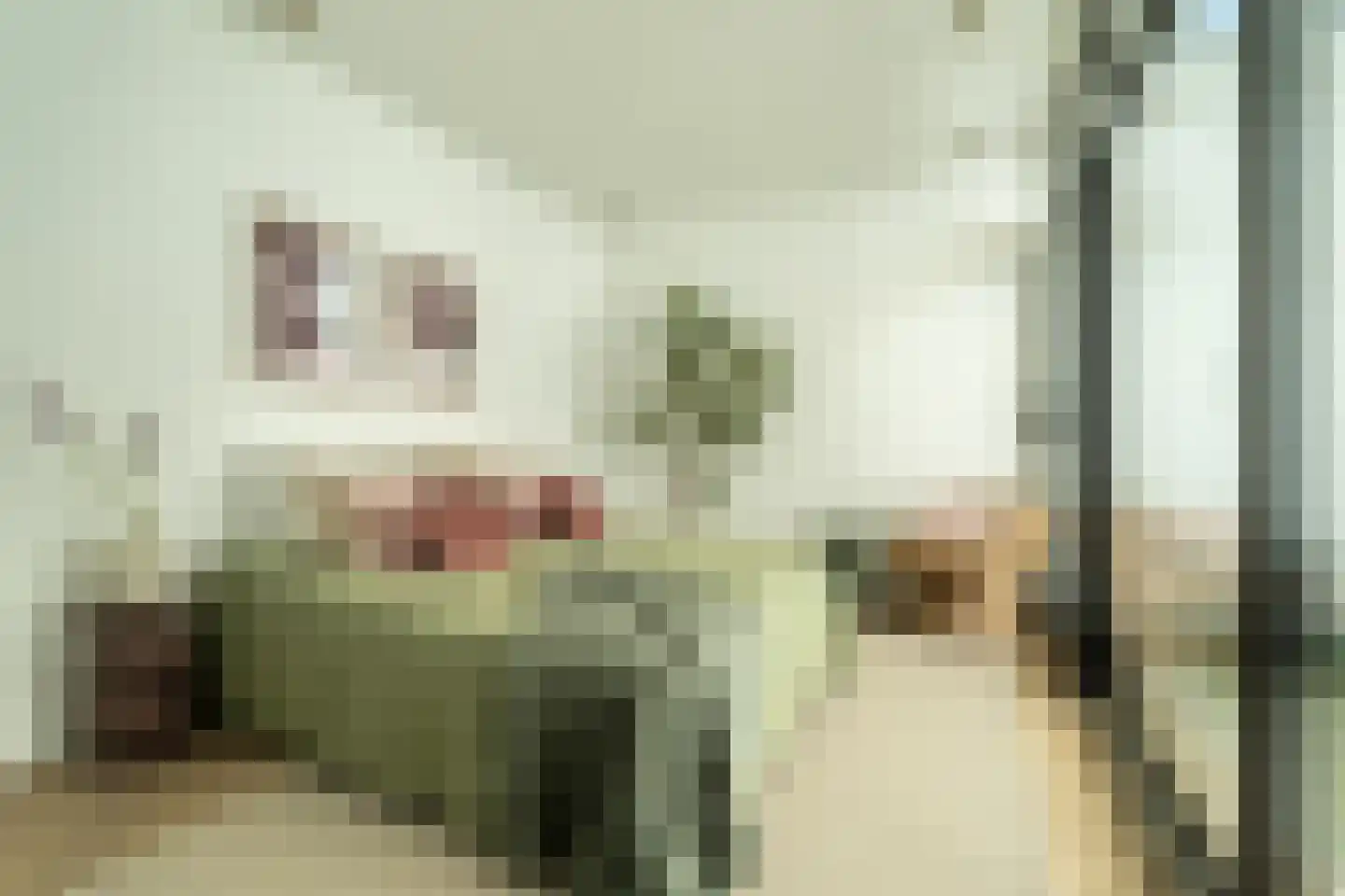 Generaal De Wetstraat 2 Haarlem thumbnail 20
