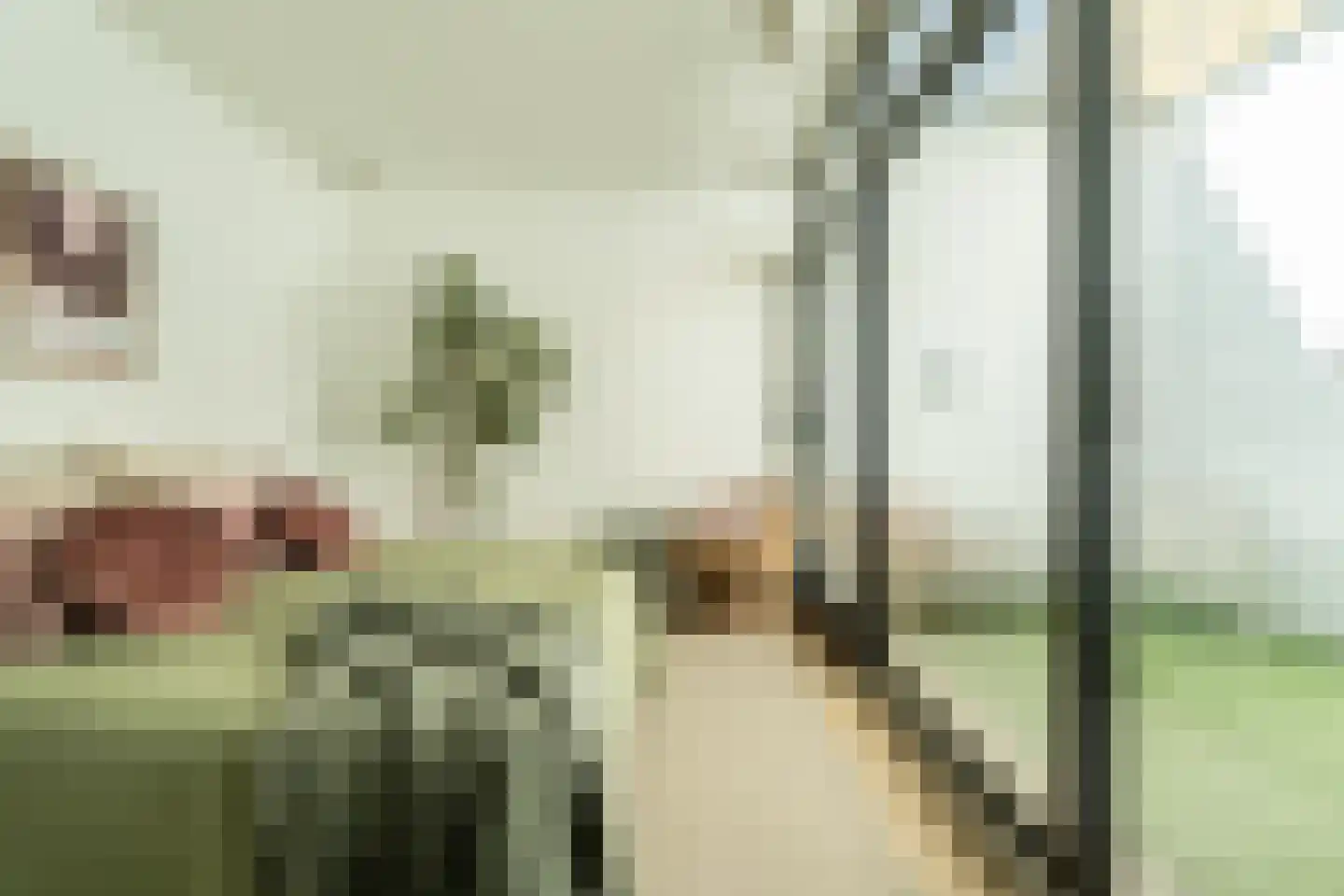 Generaal De Wetstraat 2 Haarlem thumbnail 21