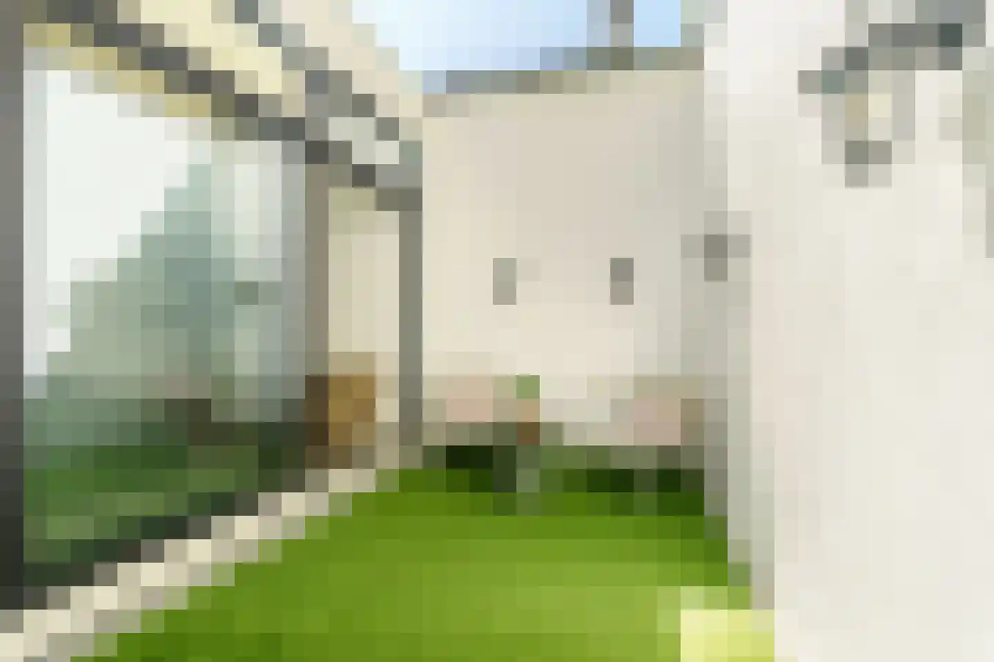 Generaal De Wetstraat 2 Haarlem thumbnail 24