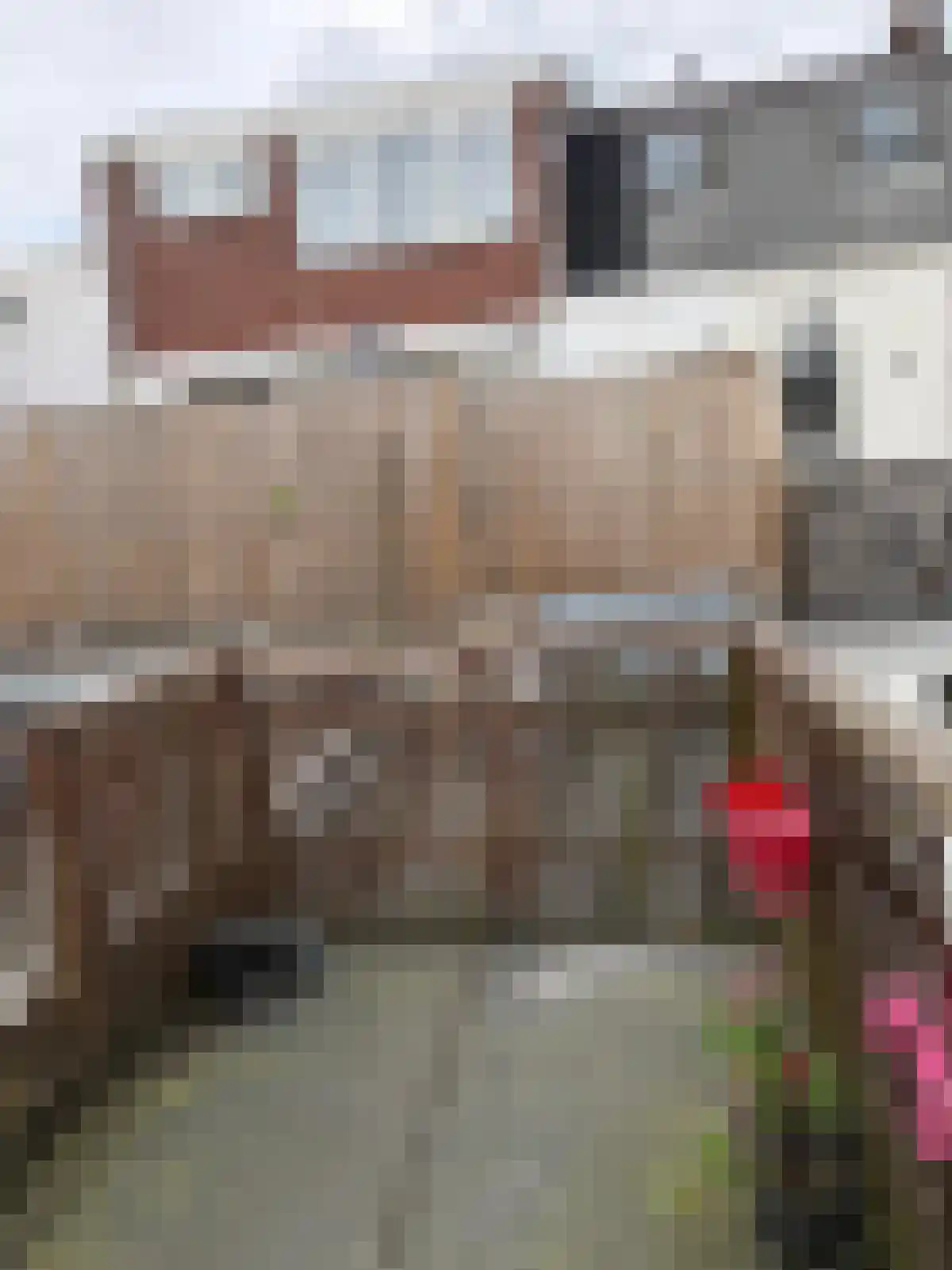 Generaal De Wetstraat 3 Haarlem thumbnail 13