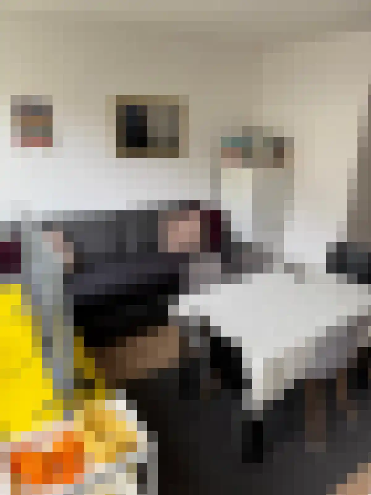 Generaal De Wetstraat 3 Haarlem thumbnail 18