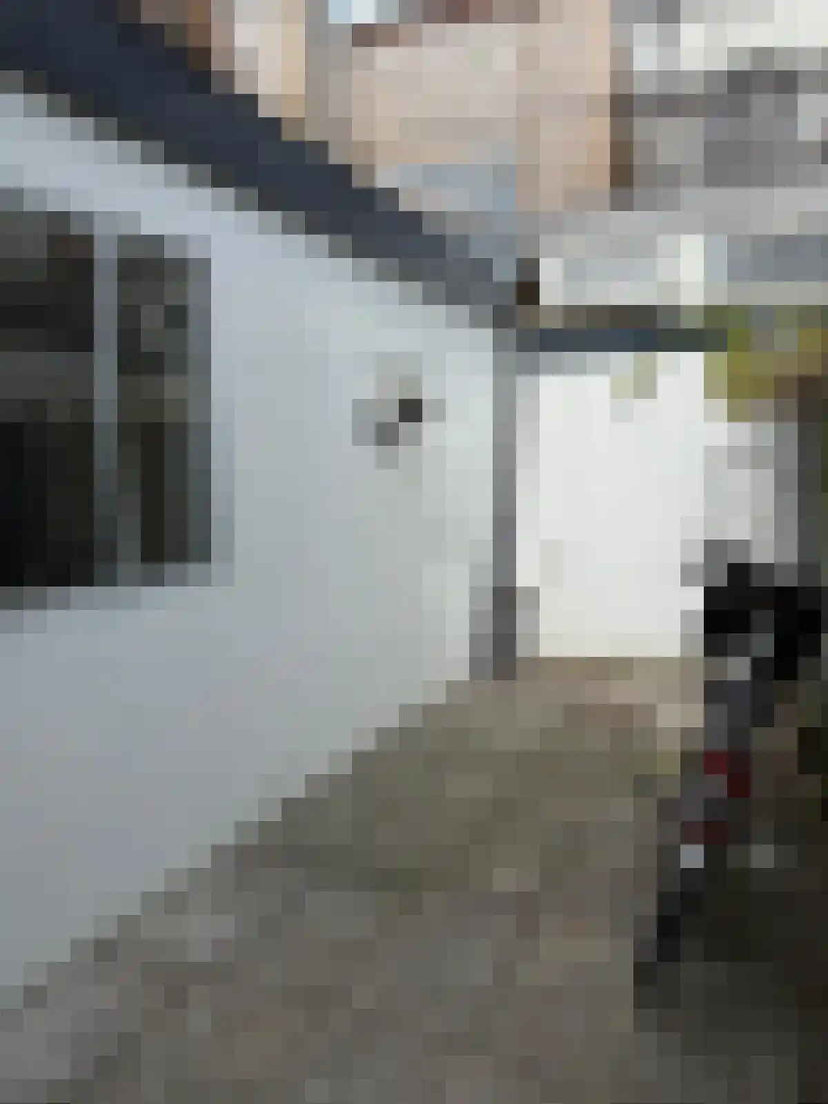 Generaal De Wetstraat 3 Haarlem thumbnail 8