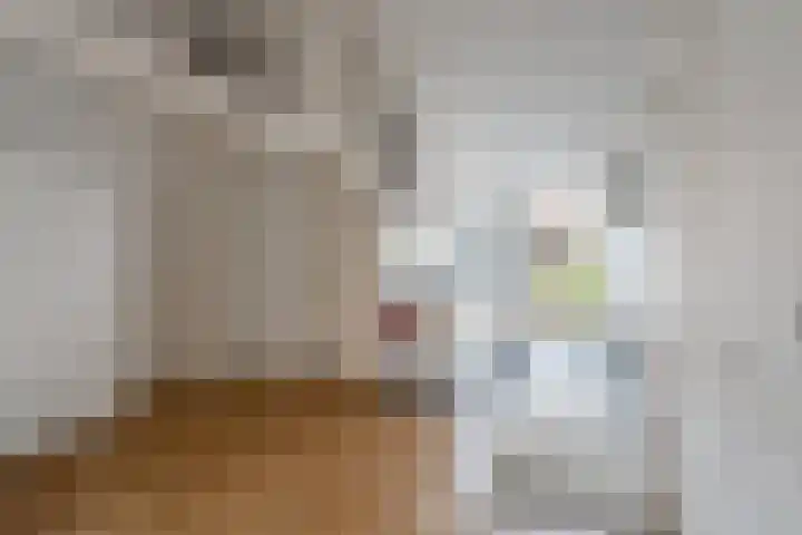 Generaal De Wetstraat 36 Haarlem thumbnail 30