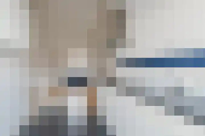 Generaal De Wetstraat 36 Haarlem thumbnail 33