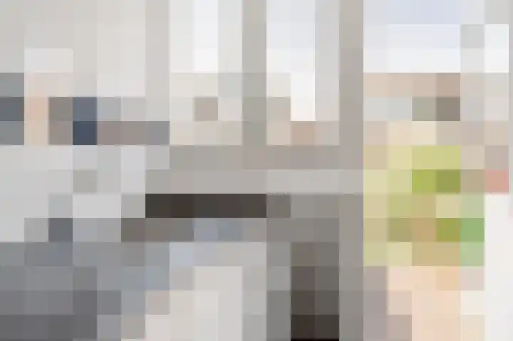 Generaal De Wetstraat 36 Haarlem thumbnail 34