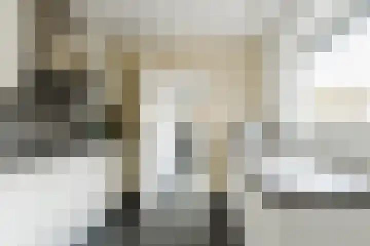 Generaal de Wetstraat 37 Tilburg thumbnail 11