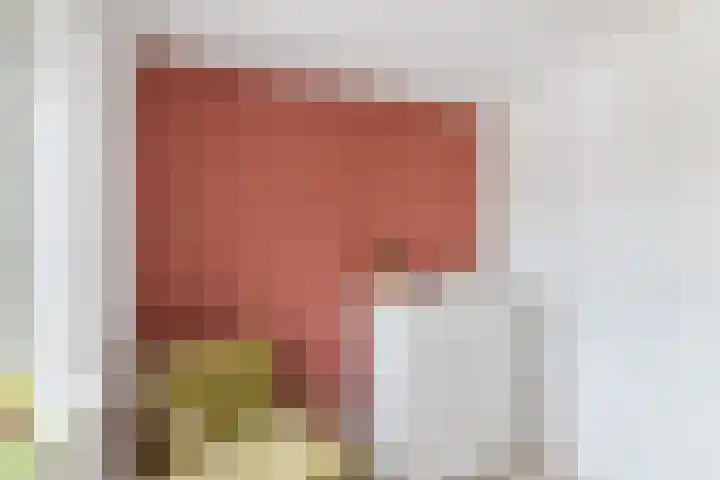 Generaal de Wetstraat 37 Tilburg thumbnail 23