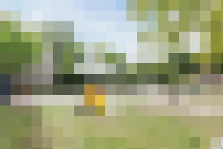 Generaal de Wetstraat 37 Tilburg thumbnail 38