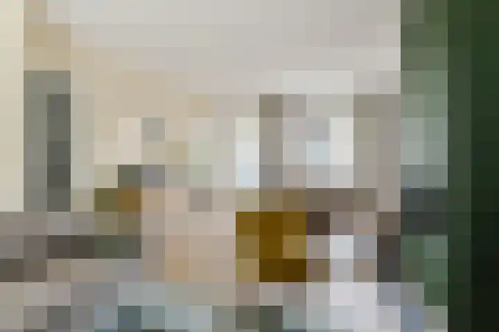 Generaal de Wetstraat 37 Tilburg thumbnail 7