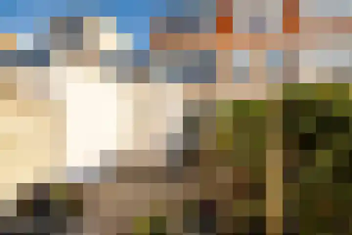 Generaal De Wetstraat 52 Haarlem thumbnail 4