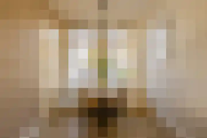 Generaal De Wetstraat 52 Haarlem thumbnail 5