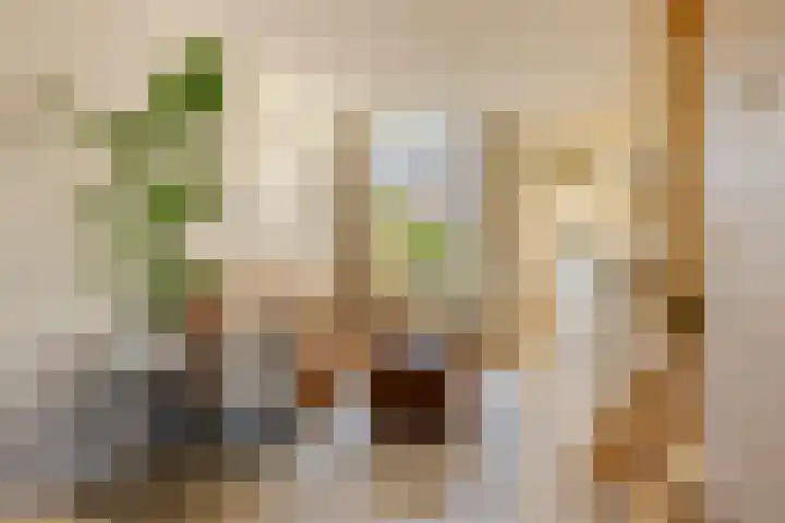Generaal De Wetstraat 52 Haarlem thumbnail 8