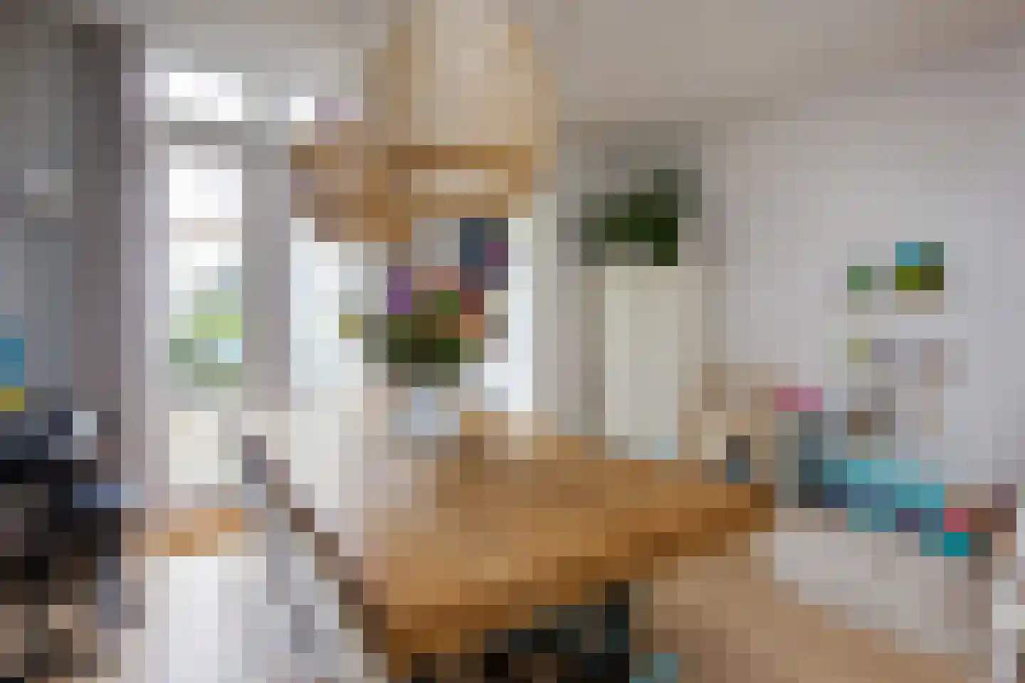 Generaal De Wetstraat 57 Haarlem thumbnail 9