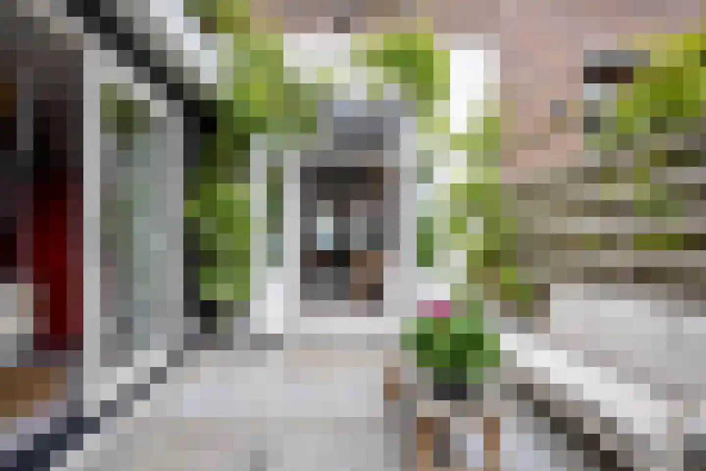Generaal De Wetstraat 6 ZW Haarlem thumbnail 13