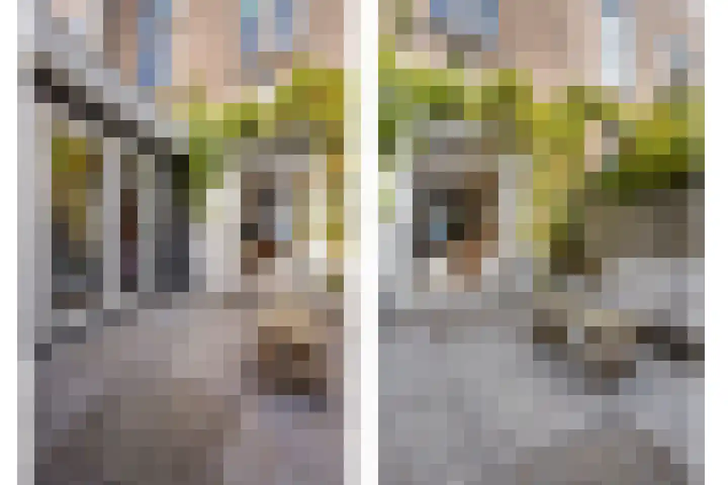 Generaal De Wetstraat 6 ZW Haarlem thumbnail 31