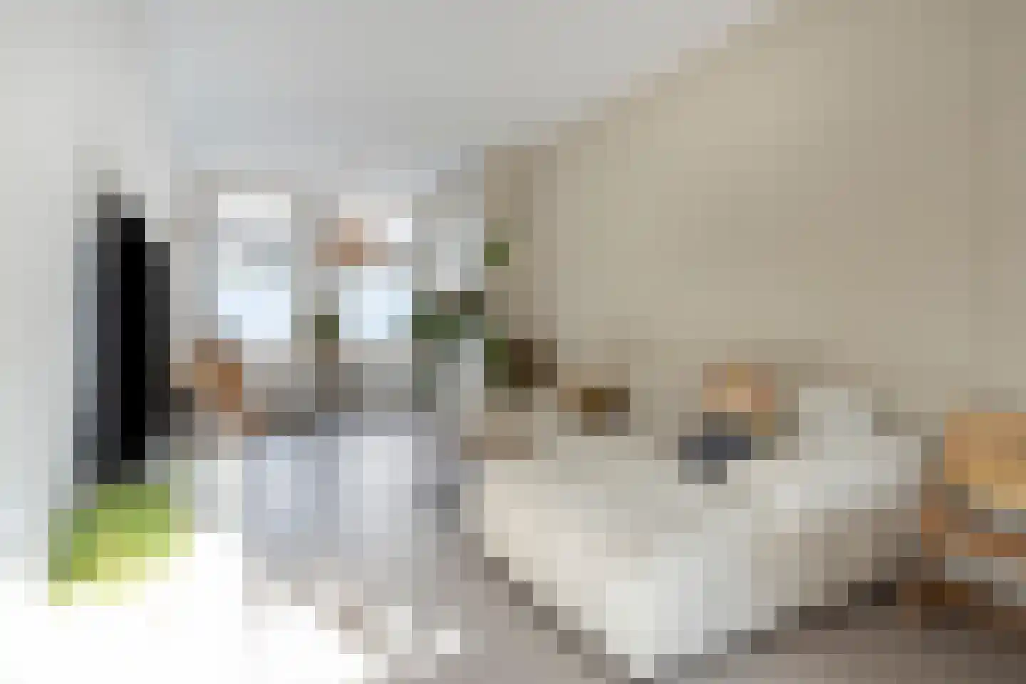 Generaal De Wetstraat 6 ZW Haarlem thumbnail 6