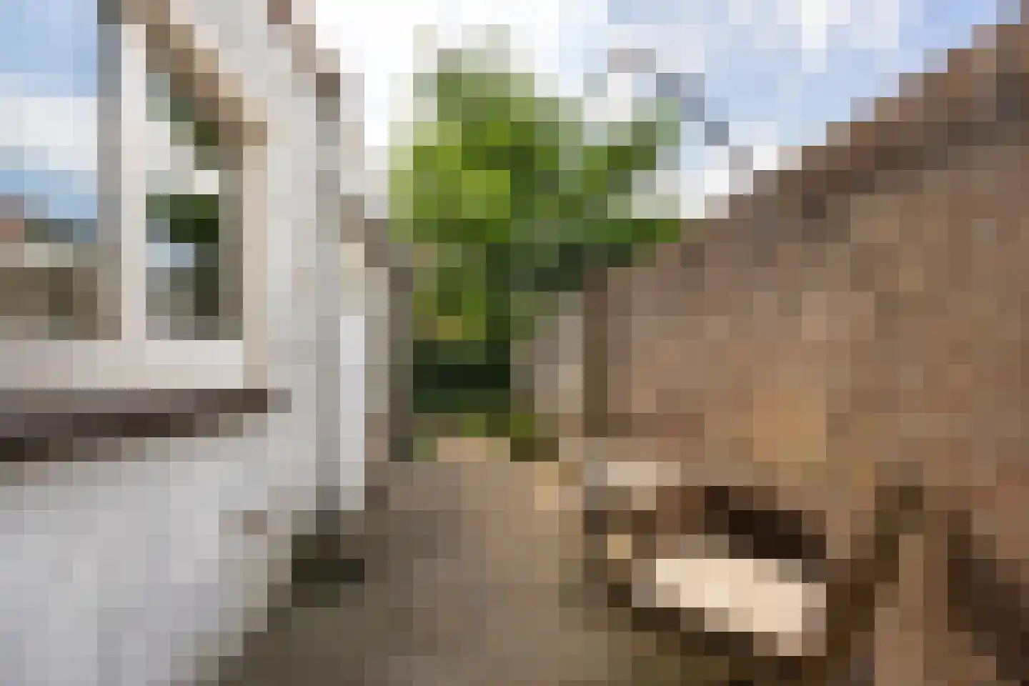 Generaal De Wetstraat 62 Haarlem thumbnail 18
