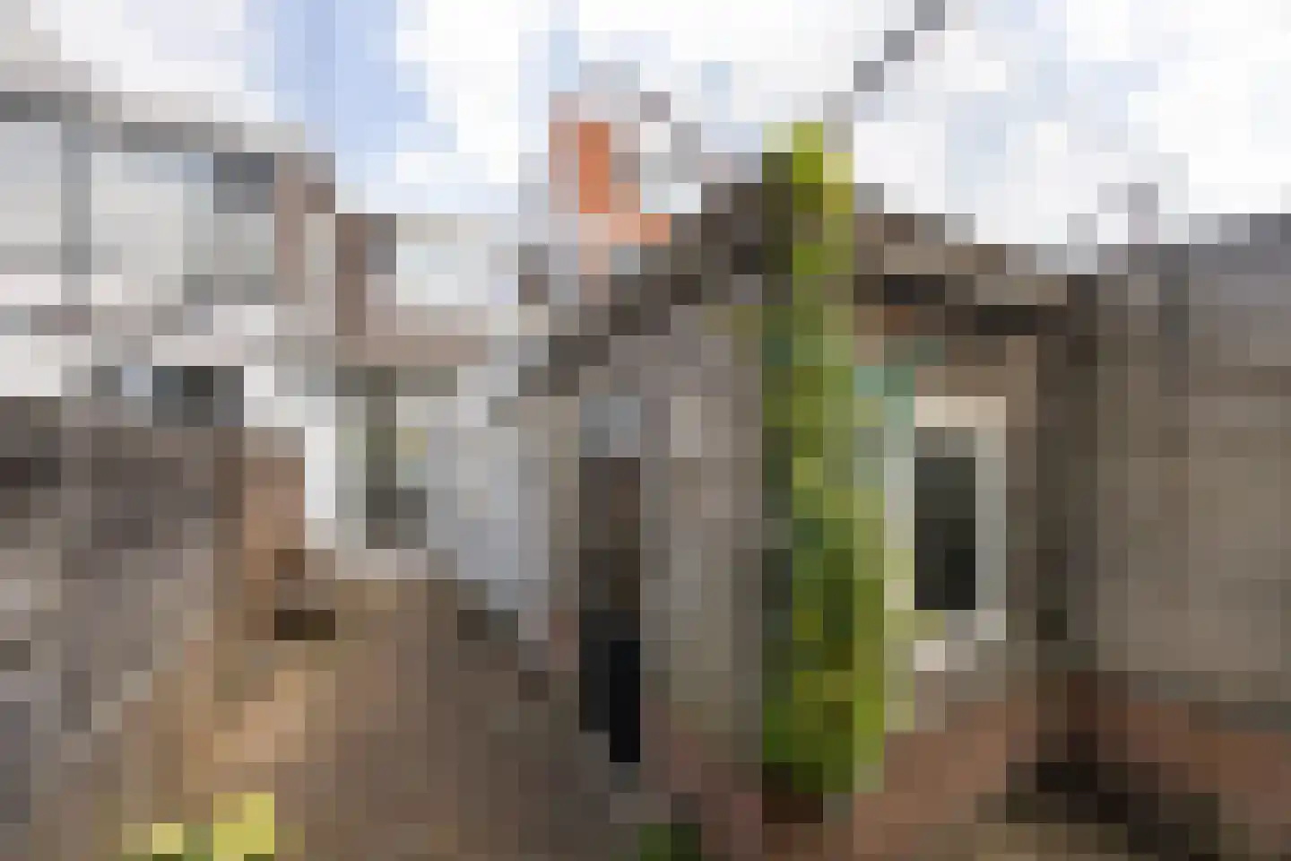 Generaal De Wetstraat 62 Haarlem thumbnail 21
