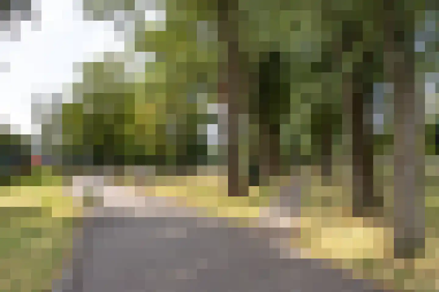 Generaal De Wetstraat 62 Haarlem thumbnail 26