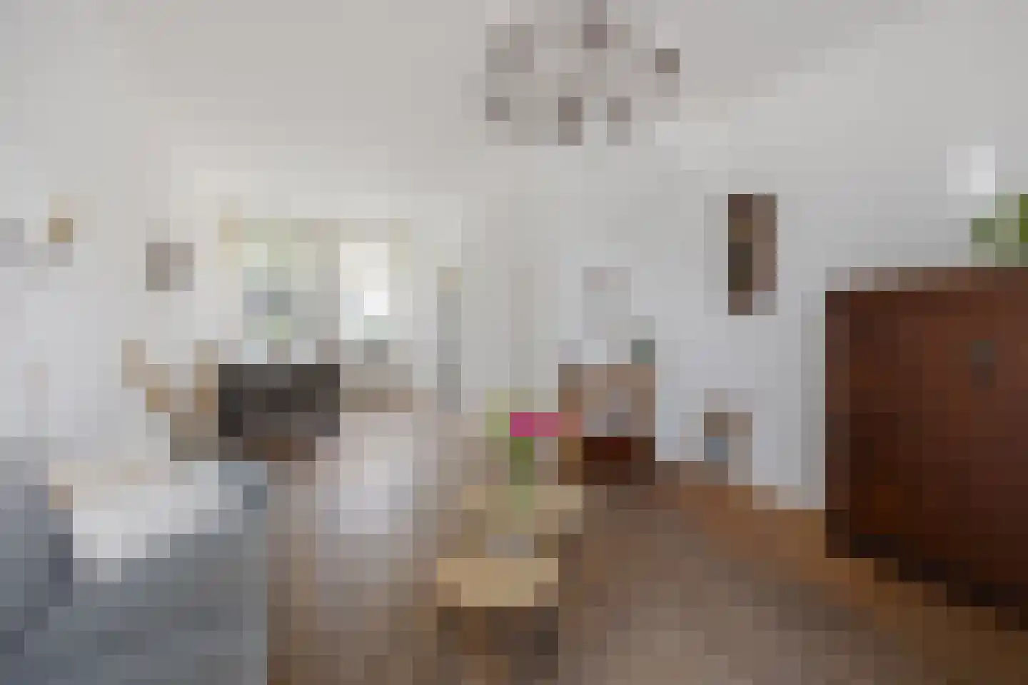 Generaal De Wetstraat 62 Haarlem thumbnail 4