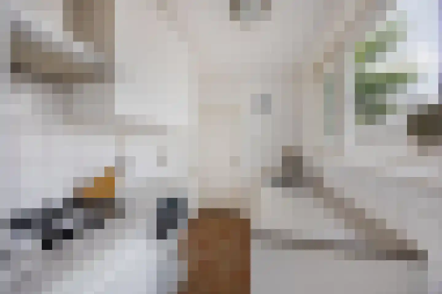 Generaal De Wetstraat 62 Haarlem thumbnail 8