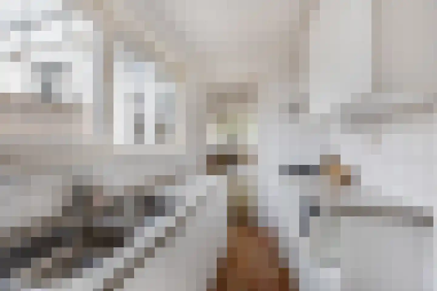 Generaal De Wetstraat 62 Haarlem thumbnail 9