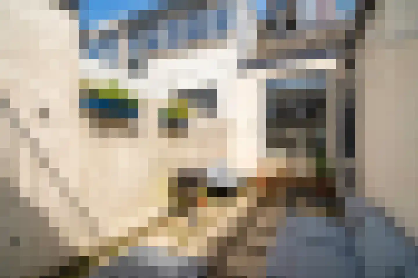 Generaal De Wetstraat 63 Haarlem thumbnail 24