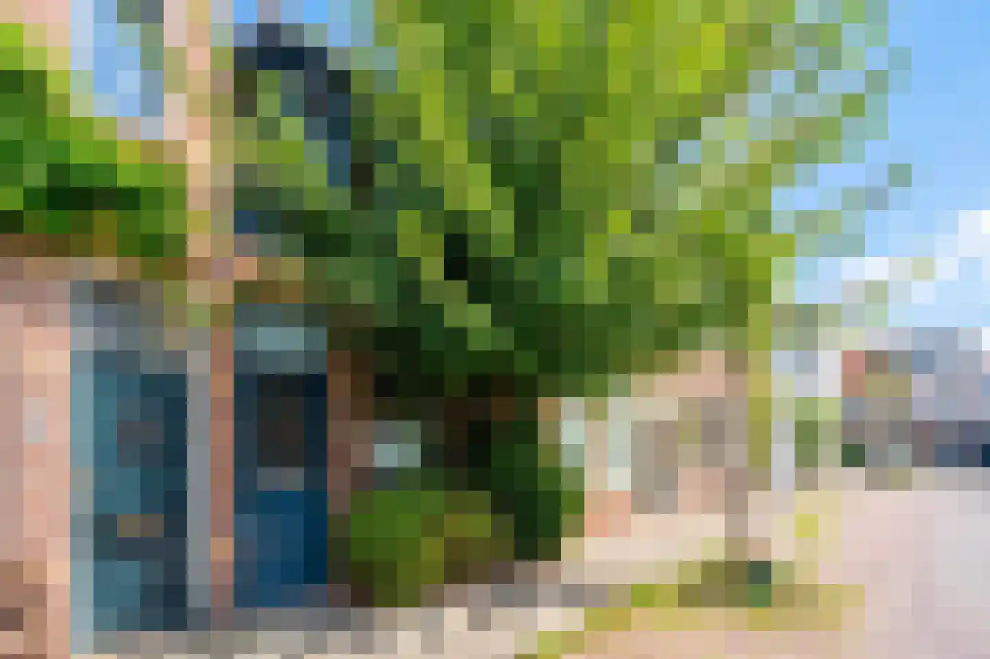 Generaal De Wetstraat 63 Haarlem thumbnail 5