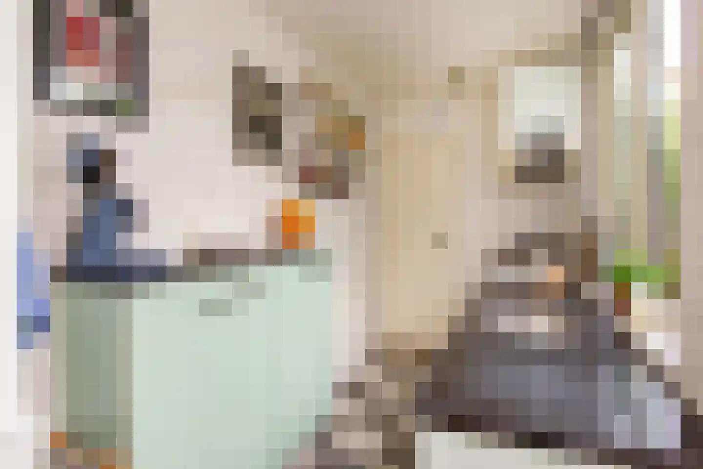 Generaal De Wetstraat 66 Haarlem thumbnail 17