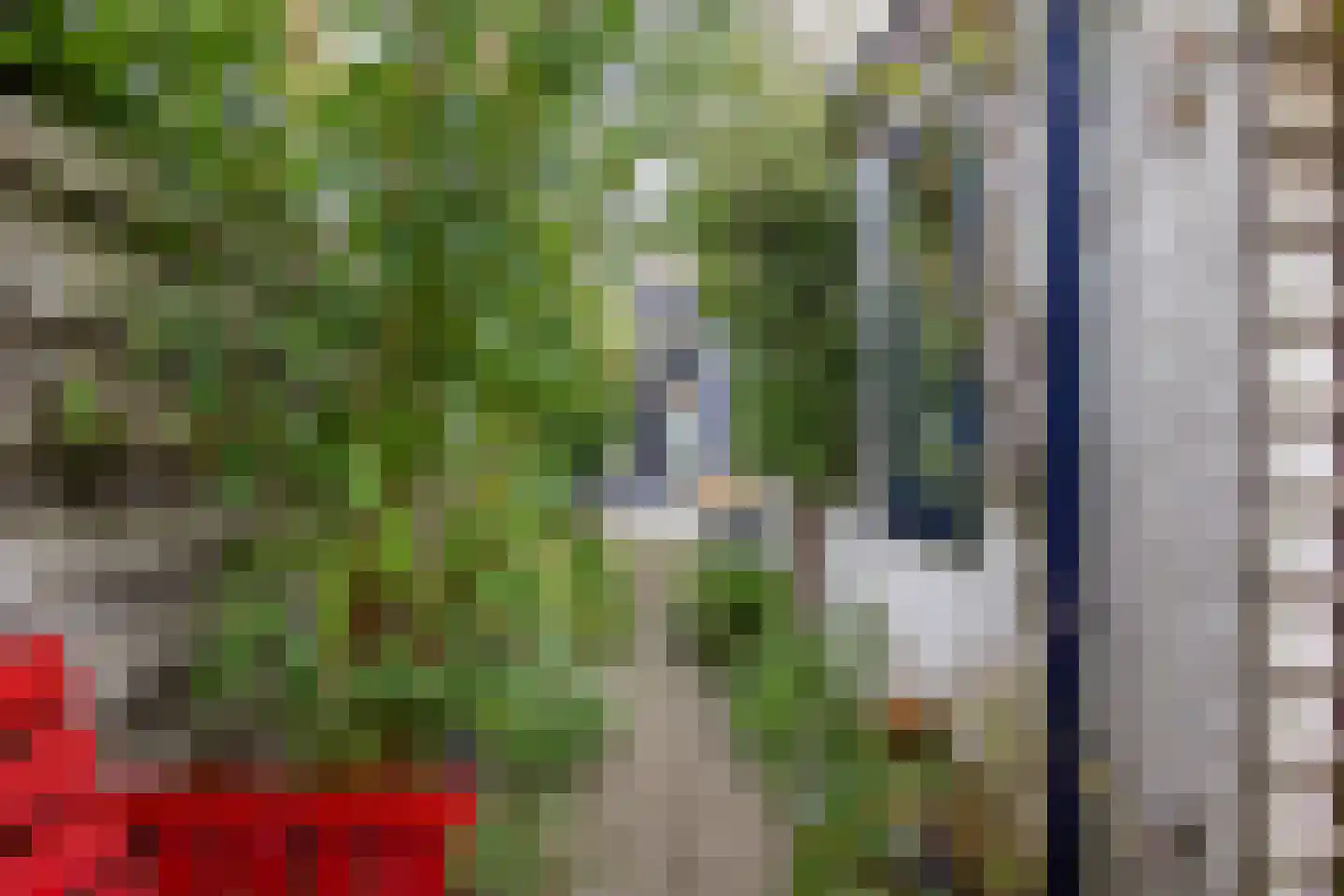 Generaal De Wetstraat 66 Haarlem thumbnail 23
