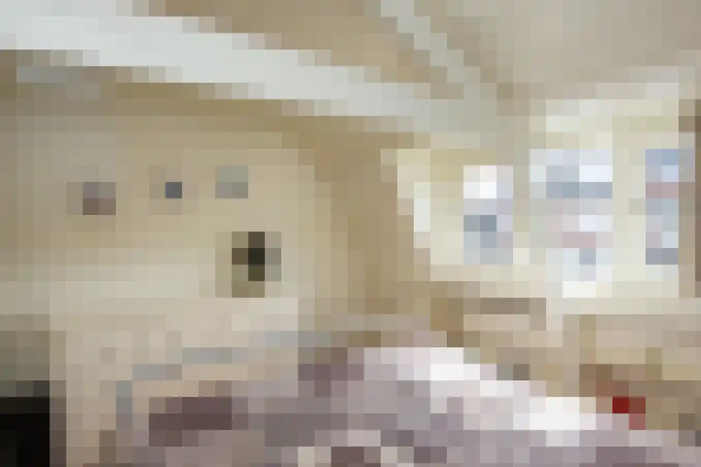Generaal De Wetstraat 66 Haarlem thumbnail 31