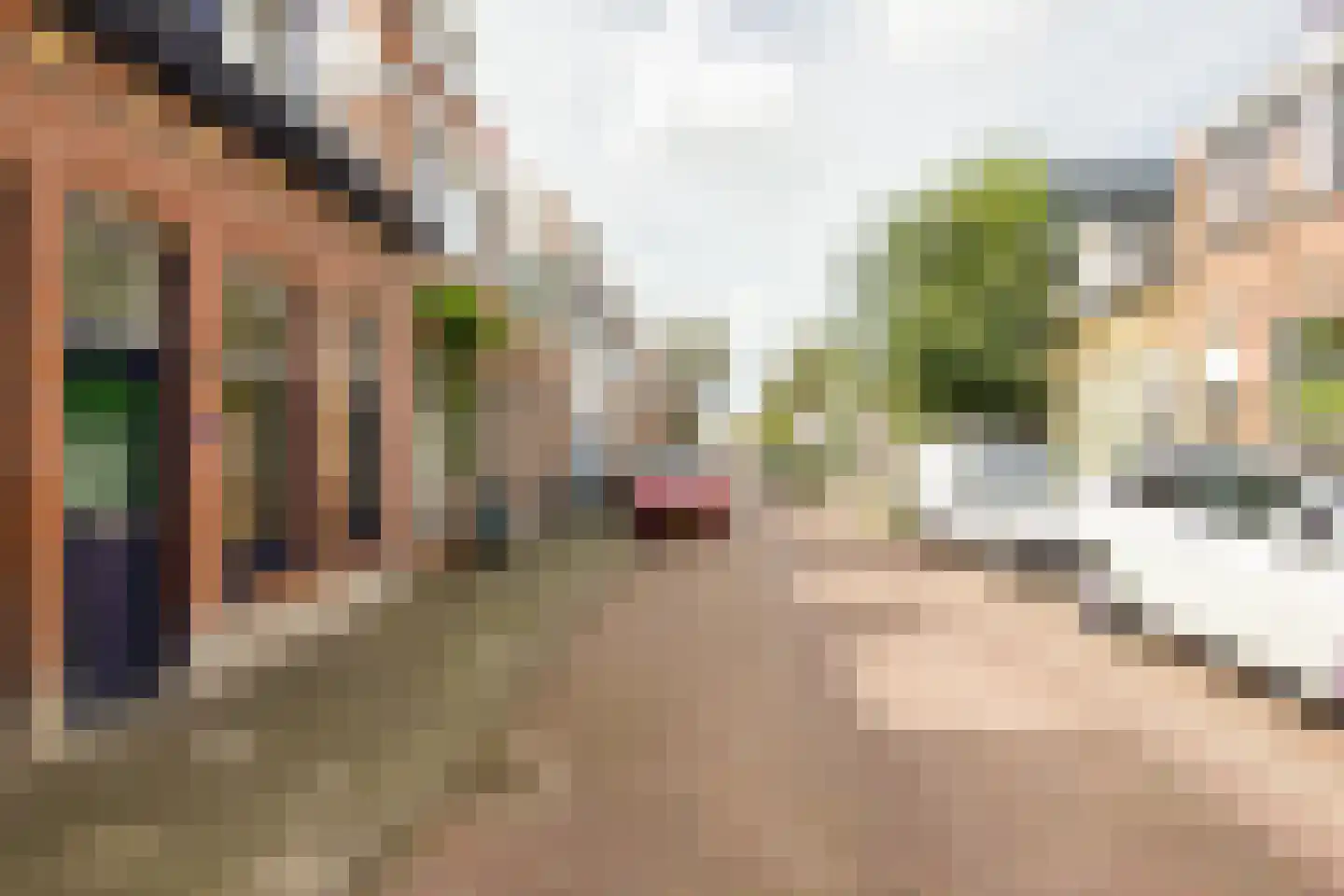 Generaal De Wetstraat 66 Haarlem thumbnail 38
