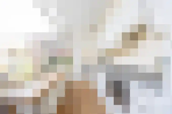 Generaal De Wetstraat 69 Haarlem thumbnail 8