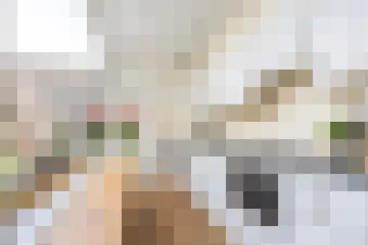 Generaal De Wetstraat 69 Haarlem thumbnail 9