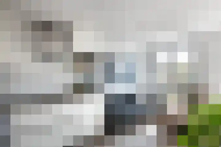 Generaal De Wetstraat 72 Haarlem thumbnail 21
