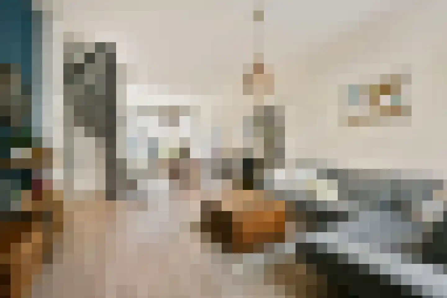 Generaal De Wetstraat 9 Haarlem thumbnail 10
