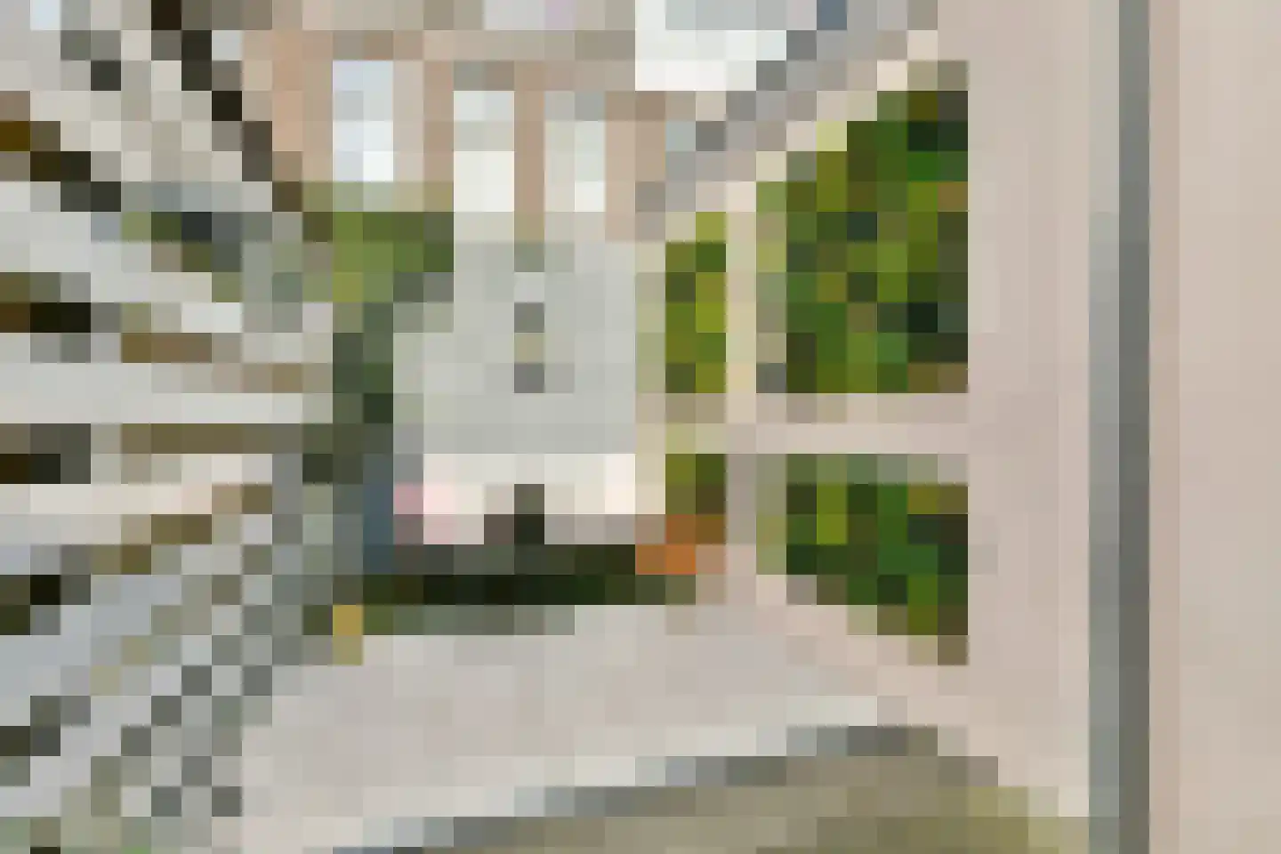 Generaal De Wetstraat 9 Haarlem thumbnail 15