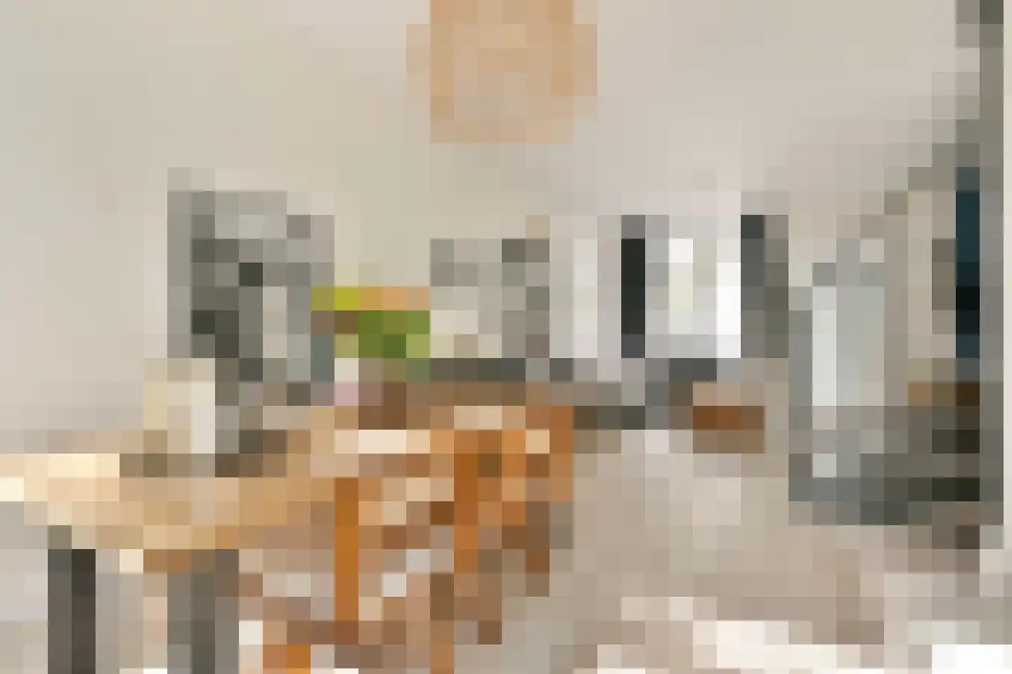 Generaal De Wetstraat 9 Haarlem thumbnail 8