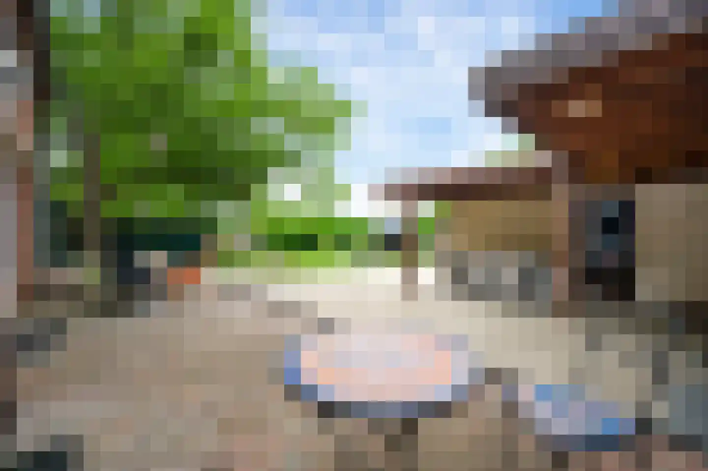 Generaal Dempsystraat 13 Swolgen thumbnail 11