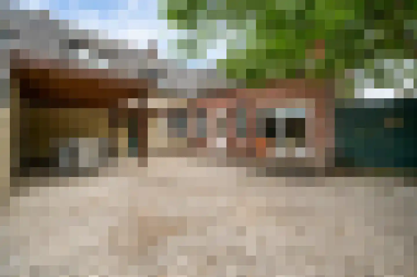 Generaal Dempsystraat 13 Swolgen thumbnail 12