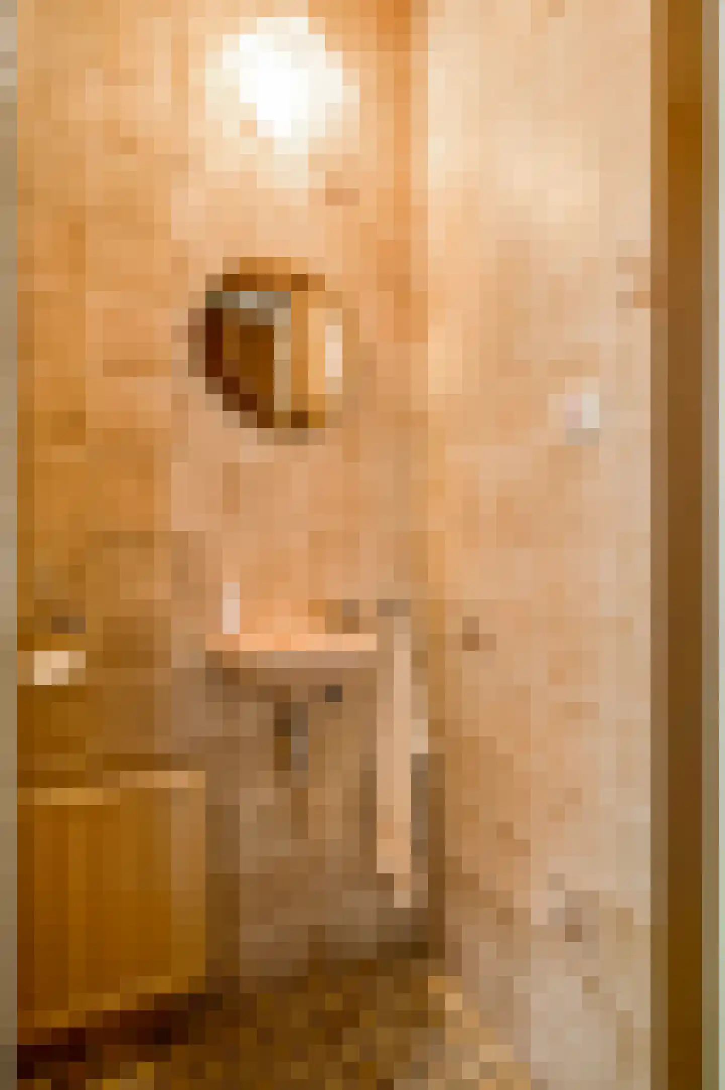 Generaal Dempsystraat 13 Swolgen thumbnail 16