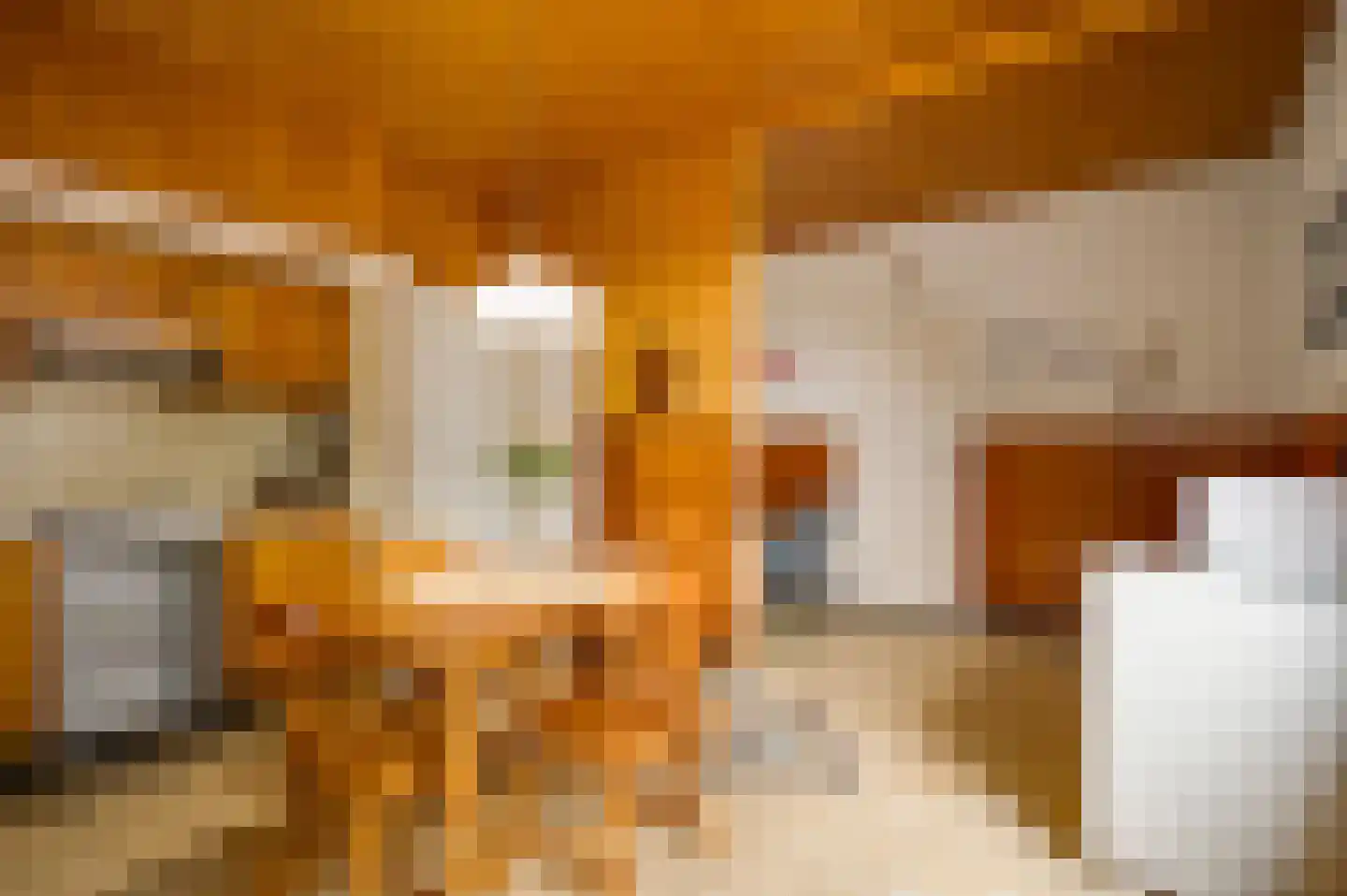 Generaal Dempsystraat 13 Swolgen thumbnail 19