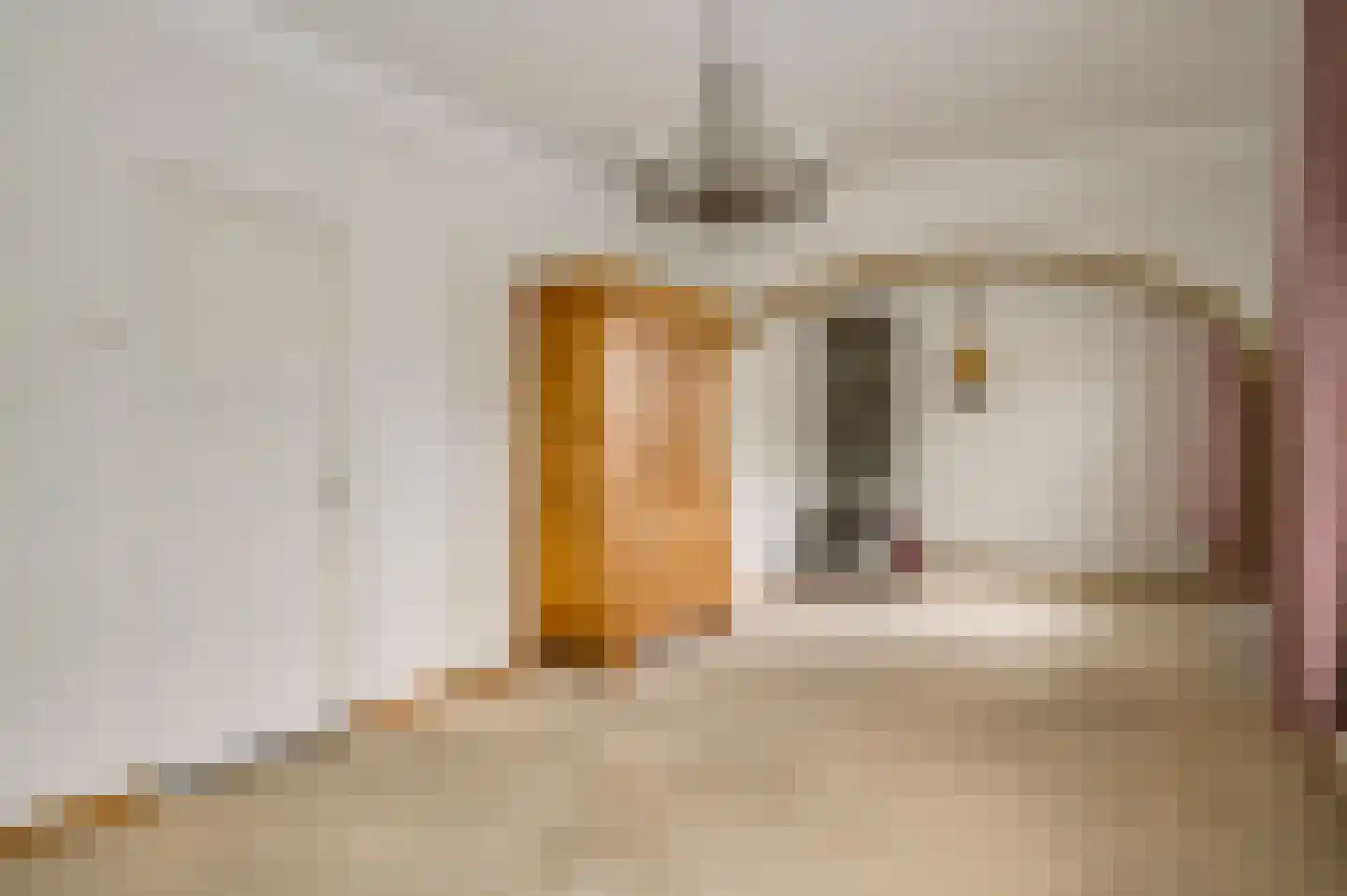 Generaal Dempsystraat 13 Swolgen thumbnail 27