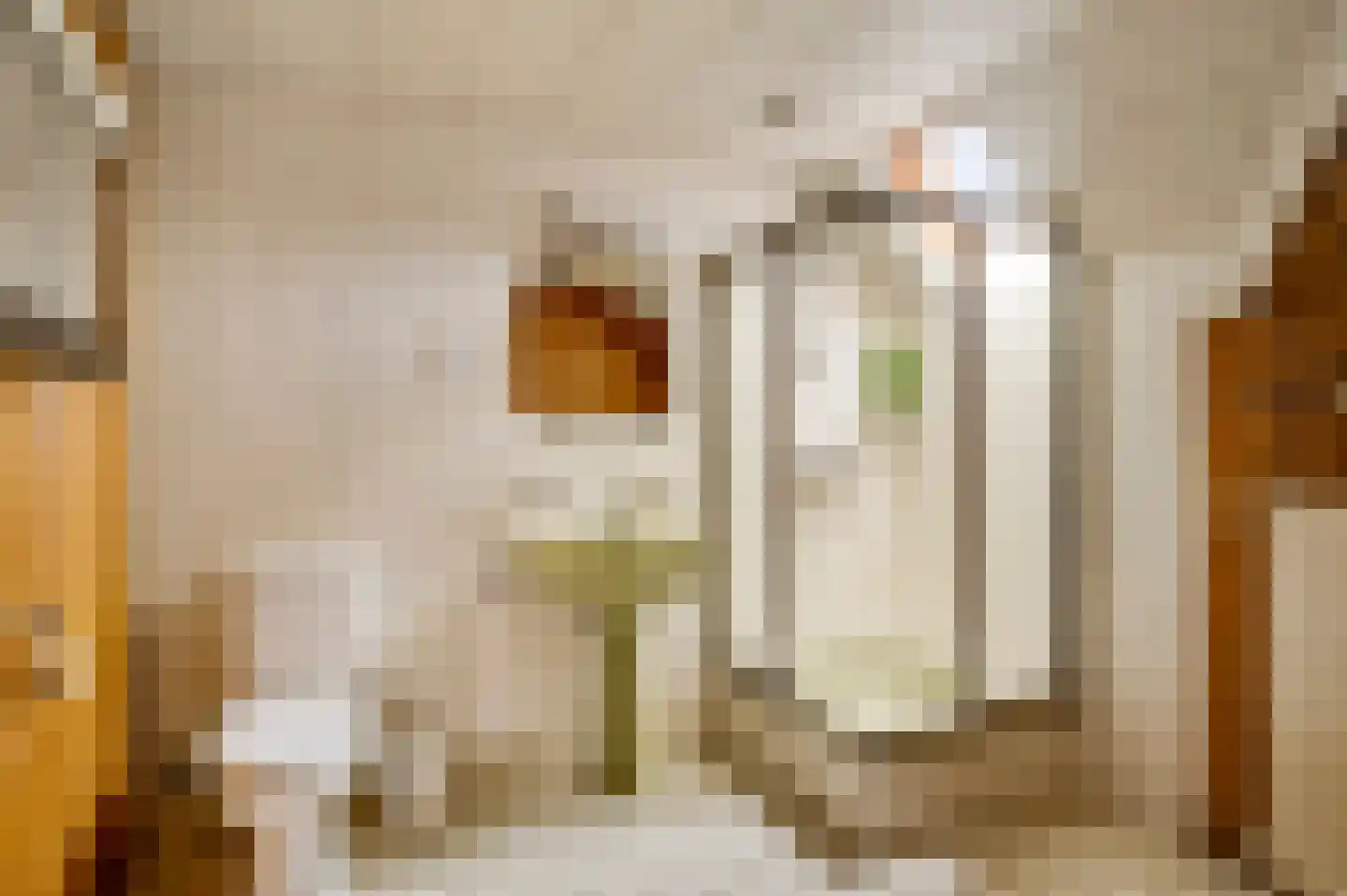 Generaal Dempsystraat 13 Swolgen thumbnail 4
