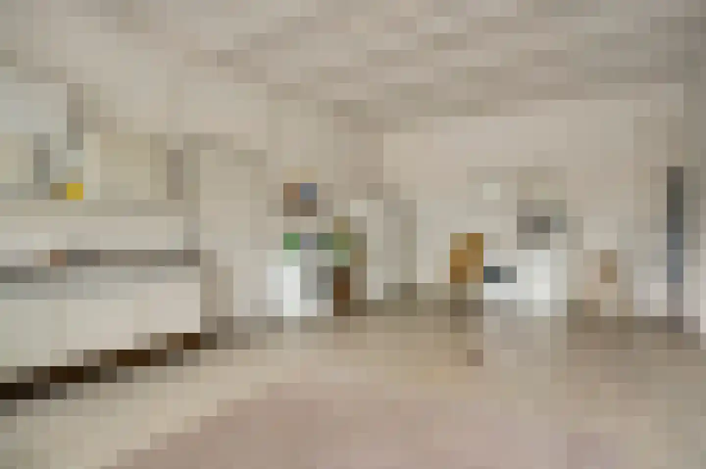 Generaal Dempsystraat 13 Swolgen thumbnail 43