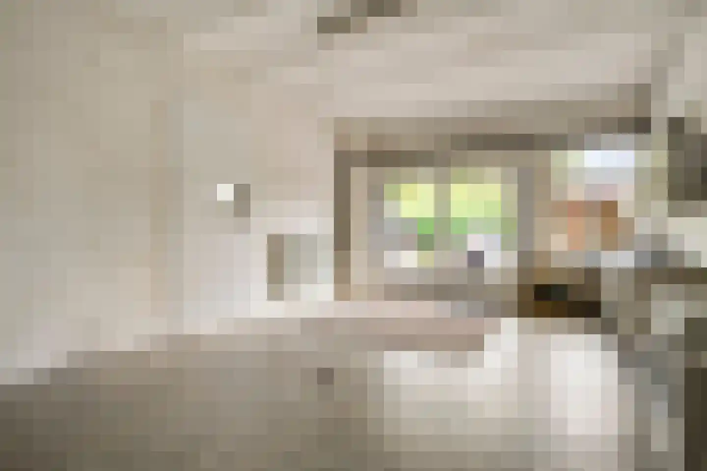 Generaal Dempsystraat 13 Swolgen thumbnail 44