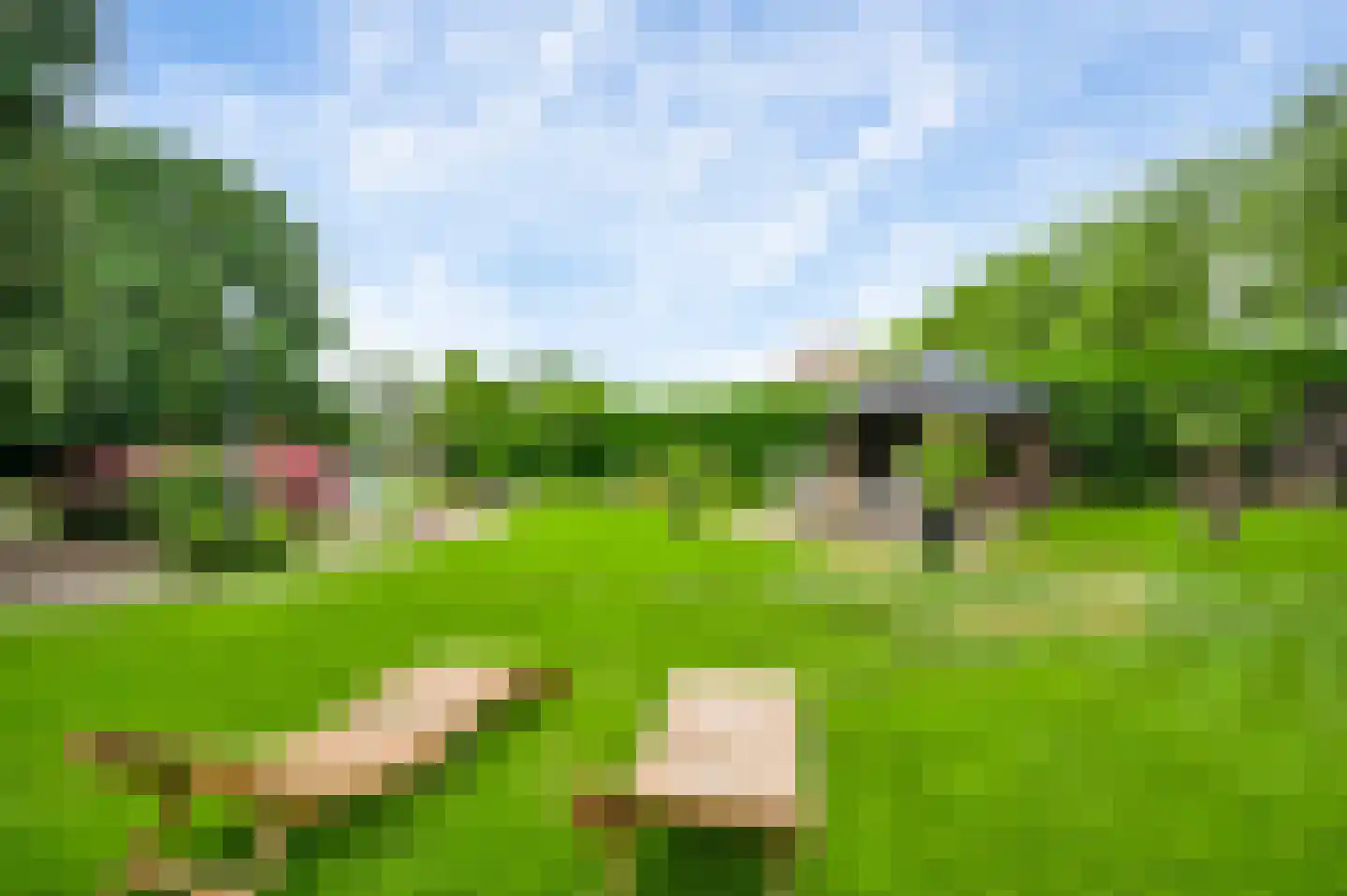 Generaal Dempsystraat 13 Swolgen thumbnail 5